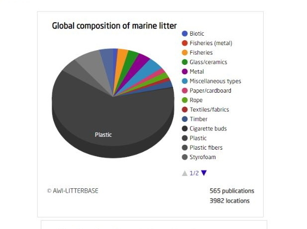 海洋ごみの素材別内訳。プラスチックごみは62.31パーセントを占める。出典：海洋ごみ報告データベース「LITTERBASE」より