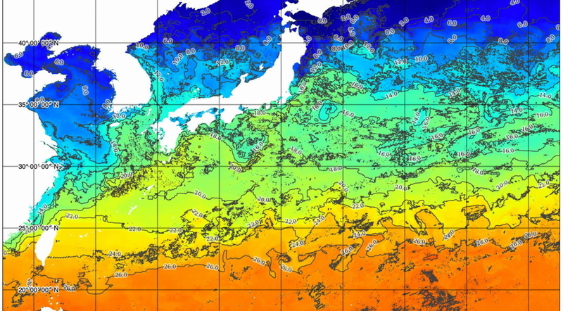 ひまわりが観測した日本近海の海水温の分布(雲除去後)。画像提供:株式会社オーシャンアイズ