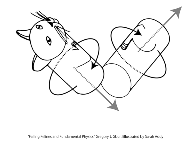 「ベンド・アンド・ツイスト」のモデル図。Gregory J. Gbur著『Falling Felines and Fundamental Physics』より。イラスト：サラ・アディ