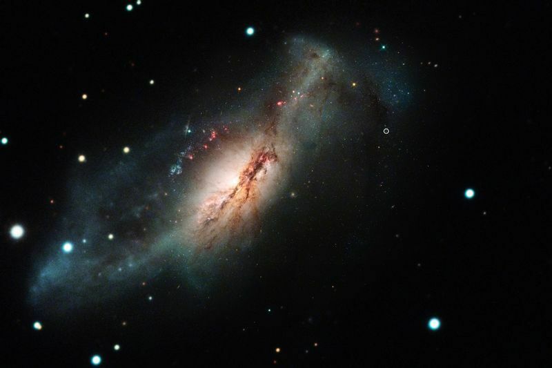 棒渦巻銀河「NGC2146」（中央）と超新星2018zd（右側白い円）。ハッブル宇宙望遠鏡とラスクンブレス天文台の観測からの合成画像。Credit: Joseph Depasquale, STScI