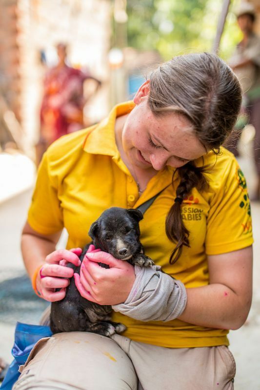マラウイで子犬に狂犬病ワクチンを接種するスタッフ。Credit: Mission Rabies