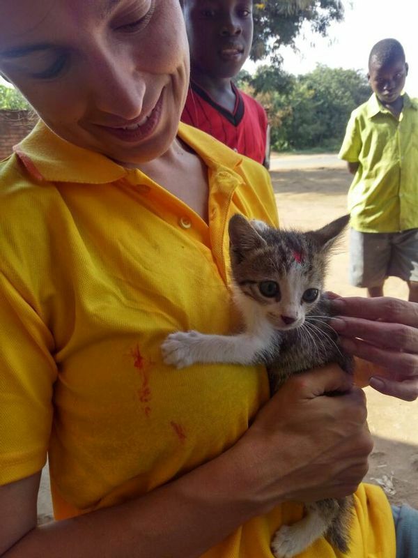 ワクチン接種期間中、子猫も保護された。Credit: Mission Rabies