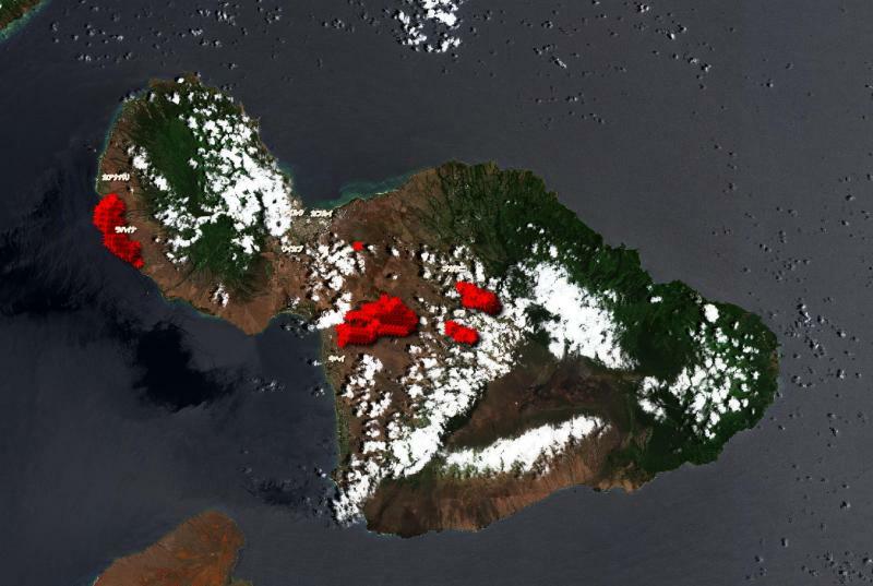地球観測衛星センチネル2が撮影した8月13日（HST）マウイ島の画像にNASAの火災情報システムFIRMSの過去7日間の情報を重ねた画像。(C)EU, Copernicus Sentinel data