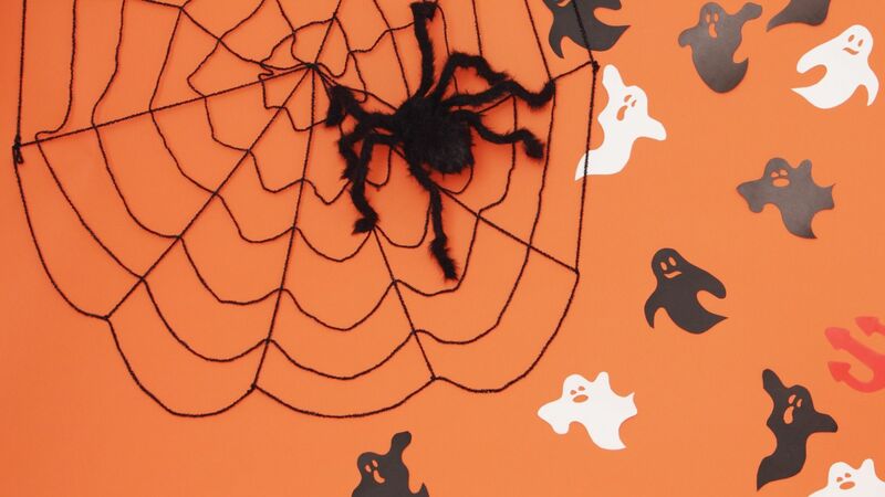秋によく見かけるジョロウグモ 不快なクモの巣を張らせない方法は 有吉立 個人 Yahoo ニュース