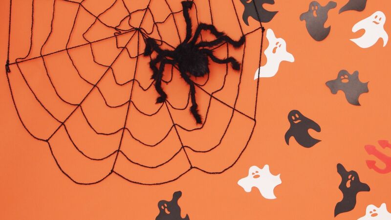 秋によく見かけるジョロウグモ 不快なクモの巣を張らせない方法は 有吉立 個人 Yahoo ニュース 秋によく見かけるジョロウグモ 不快なクモの巣を張らせない方法は 有吉立 個人 Yahoo ニュース