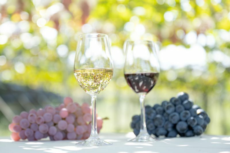 山梨ワインを代表するブドウ品種甲州(左)とマスカット・ベーリーA(右)