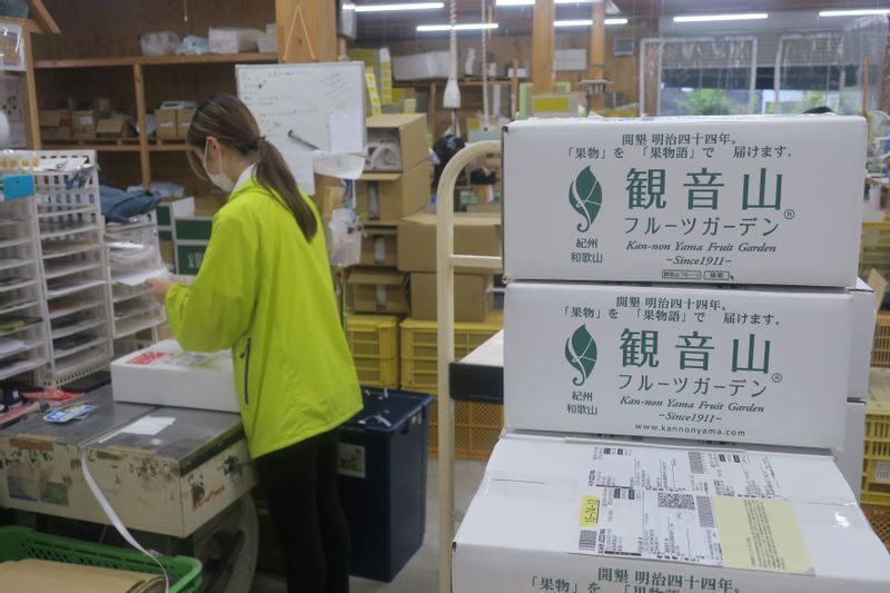 全国に30万件の顧客情報を持ち、フルーツのブランドである「観音山」は旬のおいしいフルーツを届けてくれる存在となっている(筆者撮影)