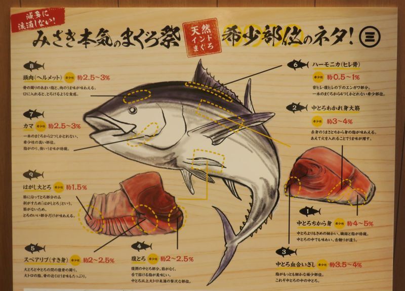 「みさき本気のまぐろ祭」は数%の希少部位のみを集めて構成している(筆者撮影)