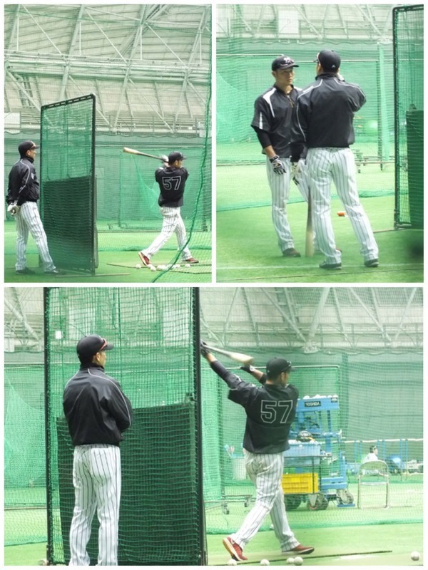 阪神タイガース 矢野 燿大 キャッチャー 防具一式 当選 阪神タイガース 矢野 燿大 キャッチャー 防具一式 当選