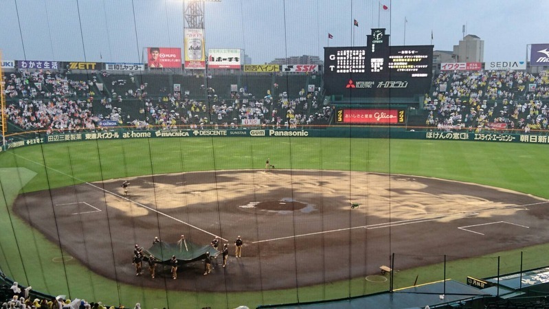 阪神甲子園球場―その驚異の水はけのよさの秘密（土井麻由実
