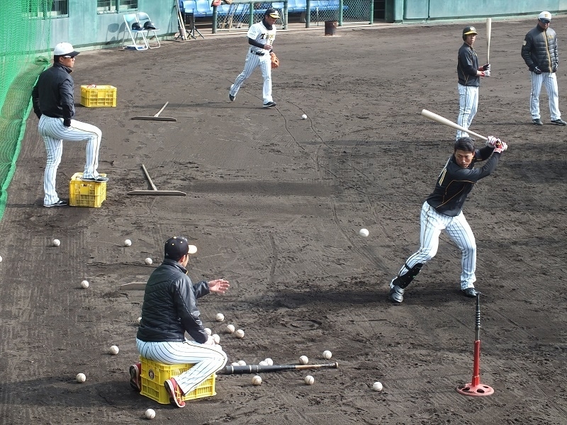 伊藤隼太選手にティーを上げる