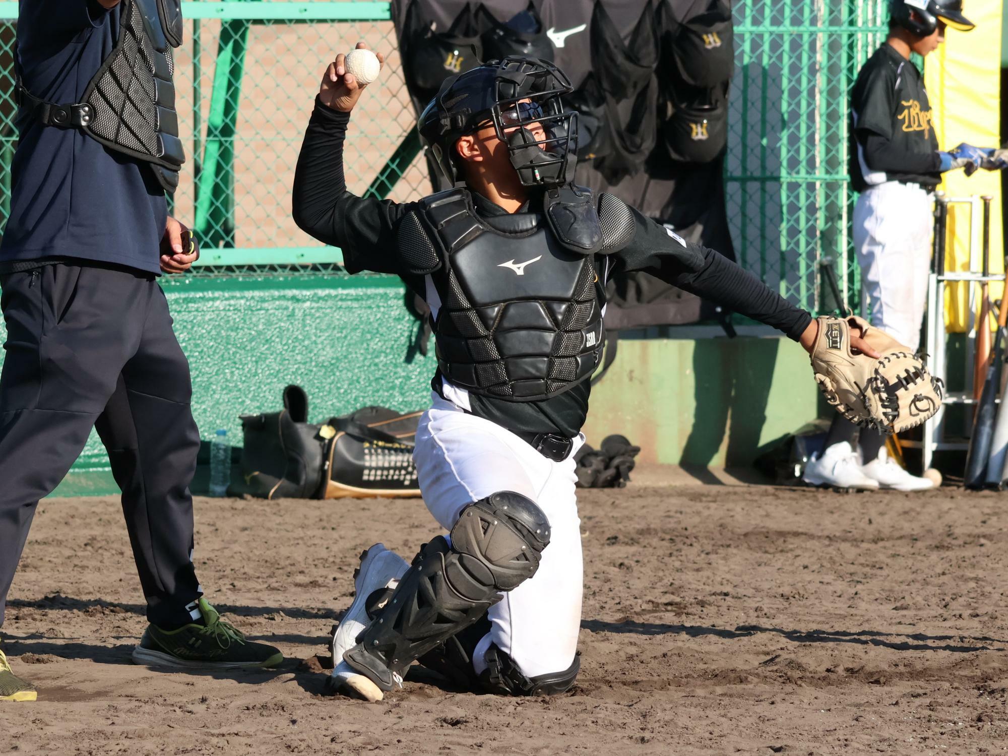 扇の要、井上凛太朗