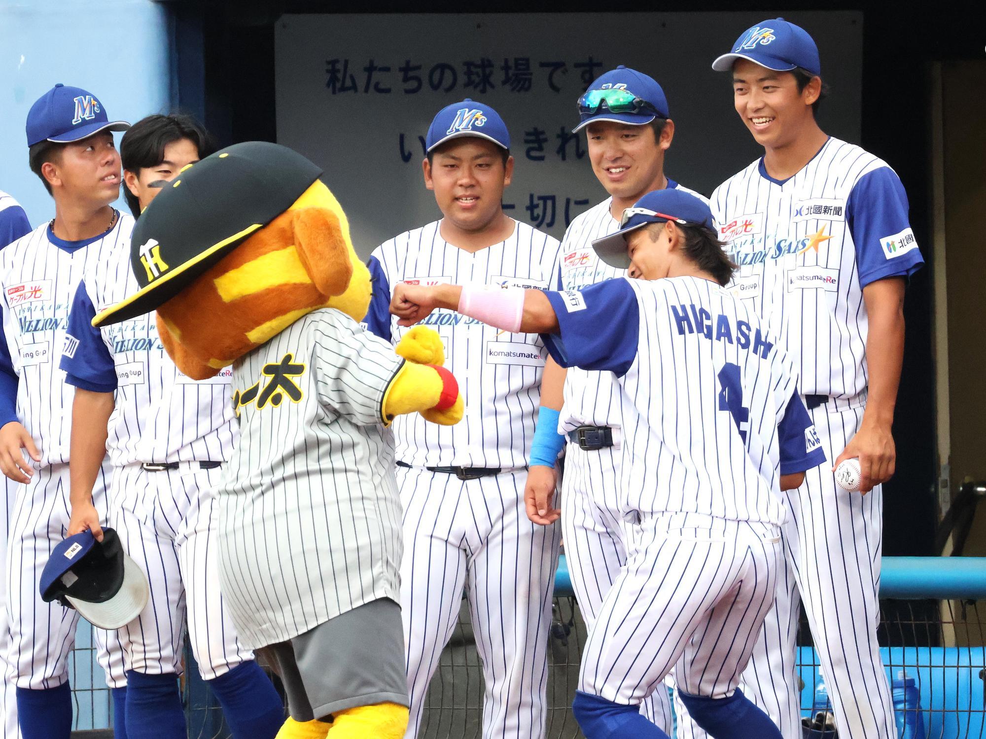 阪神タイガースとの交流試合でキー太と戯れる（撮影：筆者）