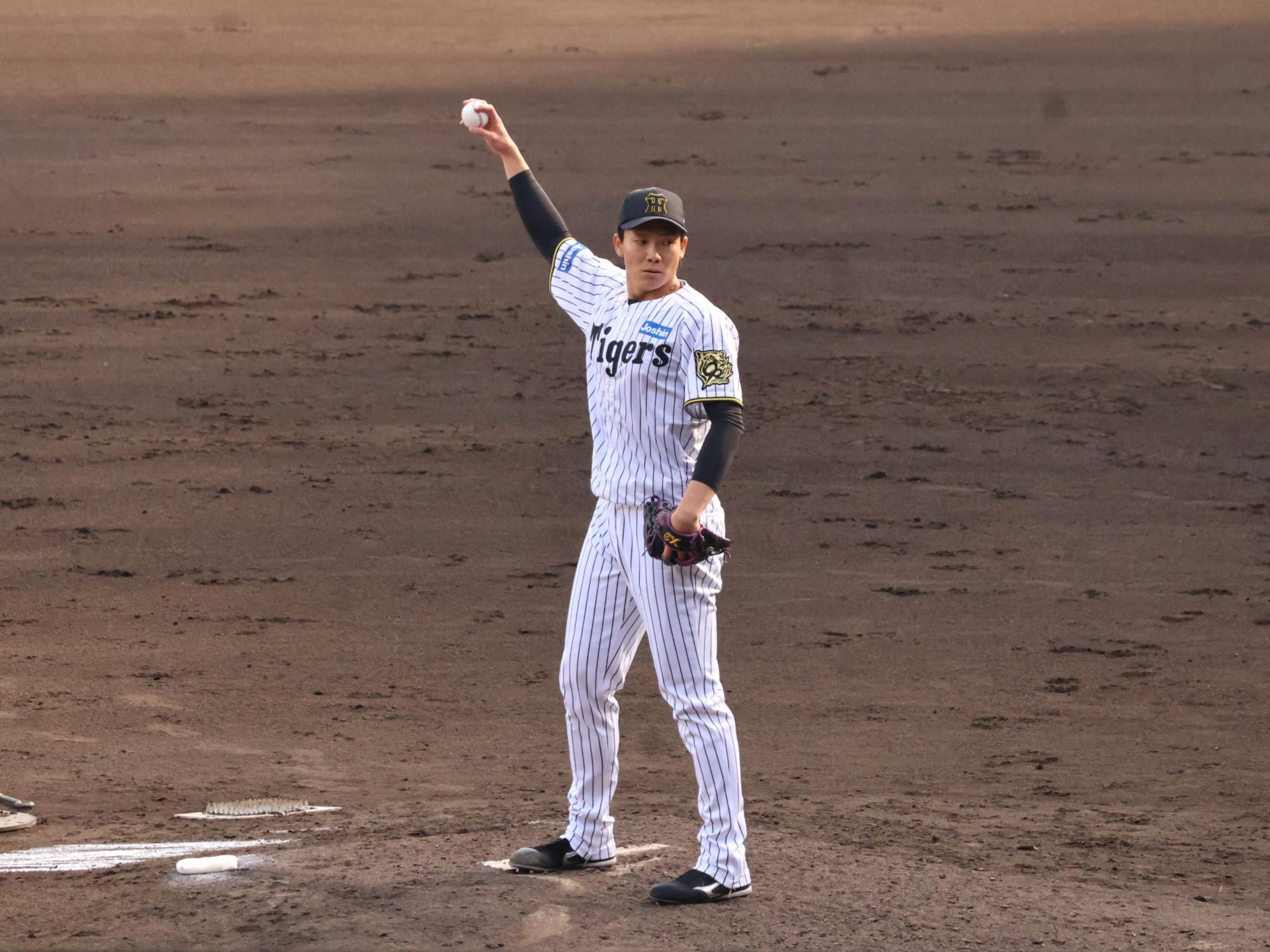 湯浅京己　ボブルヘッド　タイガース 阪神タイガース 2023 ボブルヘッド人形 湯浅京己65 NOZG（選手