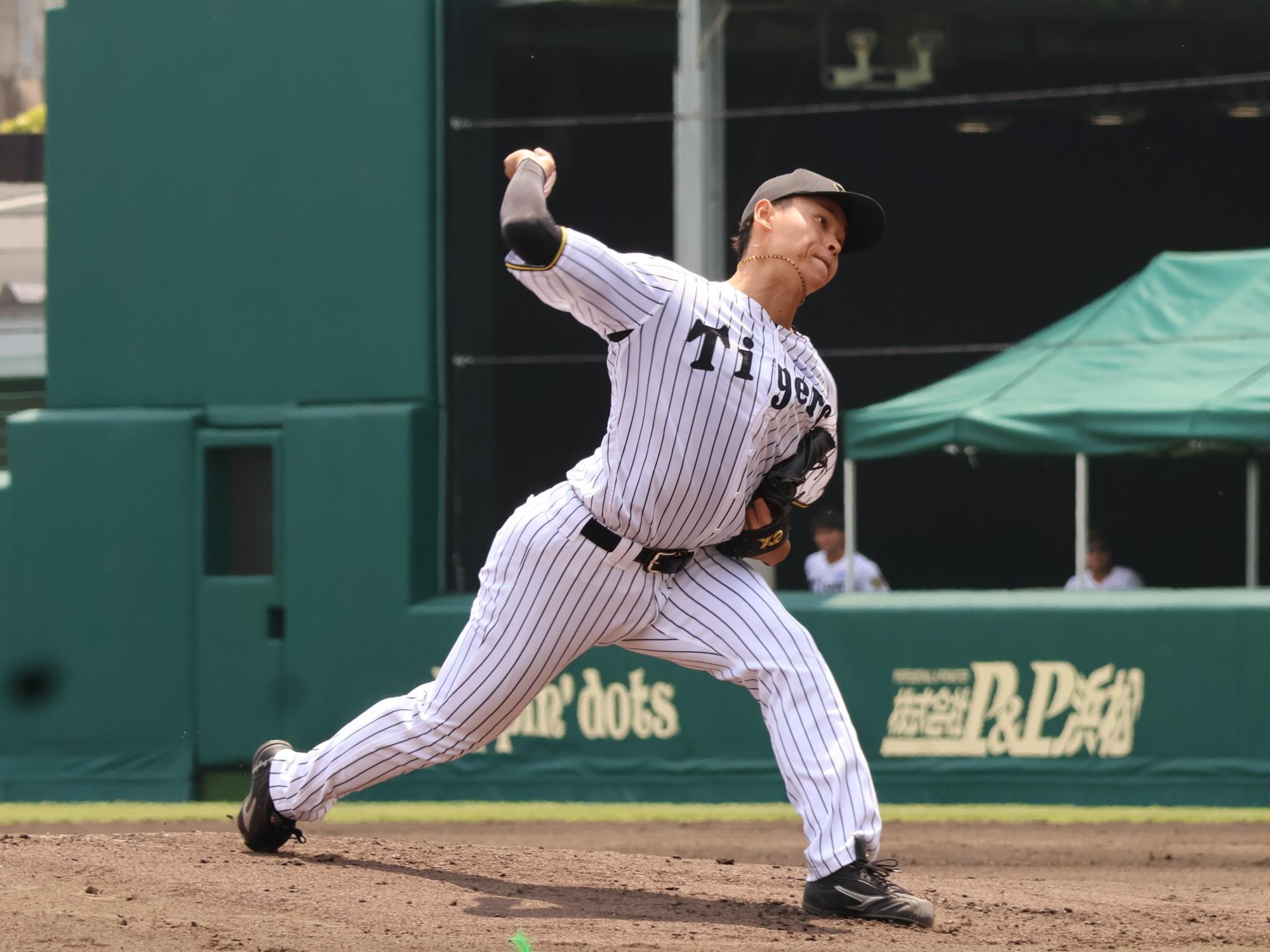 支配下選手になった早川太貴（阪神）は掛布雅之氏の背番号31を