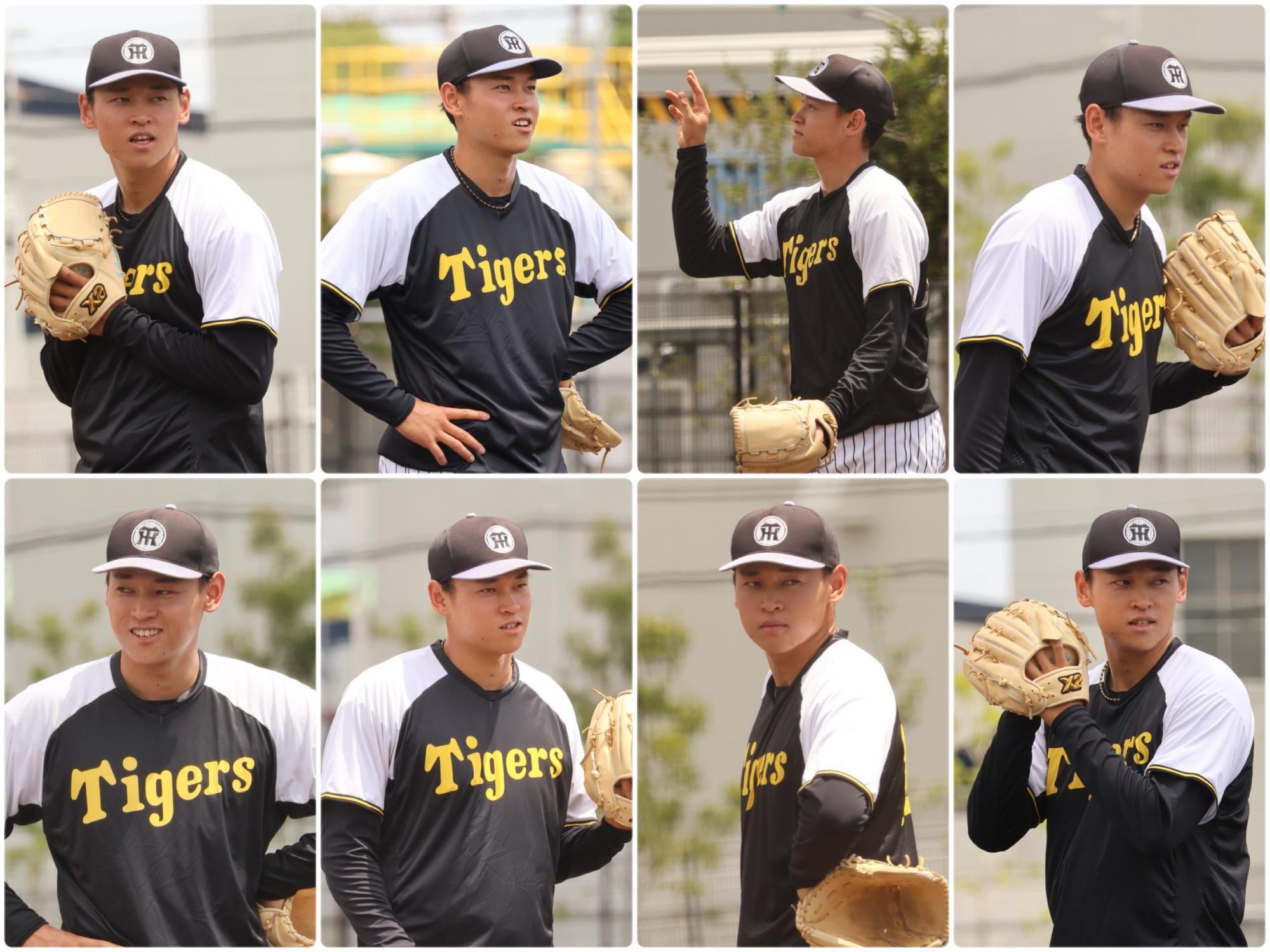 新品未開封 阪神タイガース早川太貴選手タオル 育成時代背番号