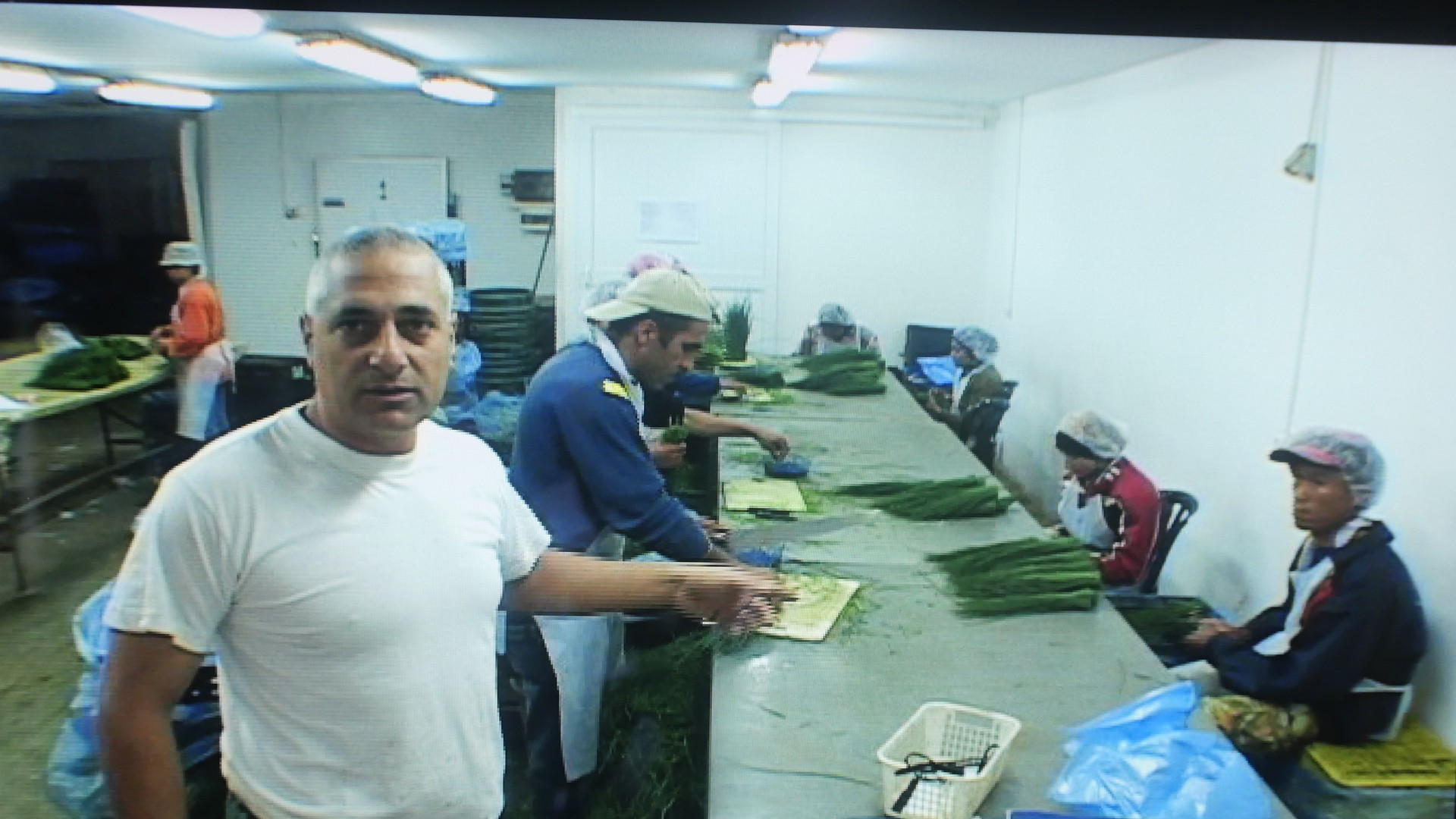 ルポ ヨルダン川西岸 第一部 ヨルダン渓谷 ３ 土井敏邦 個人 Yahoo ニュース