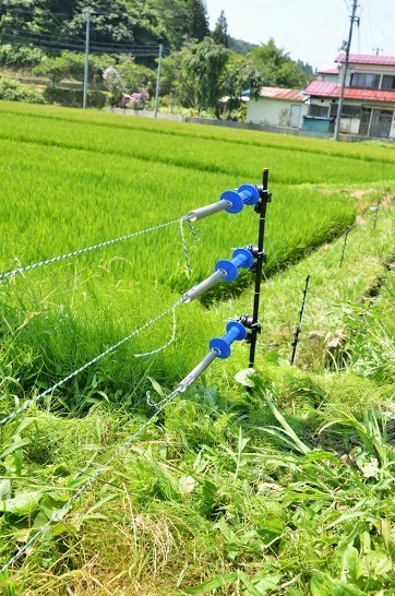 田村市東端の旧都路村地区では、急ピッチで電柵の設置が進められていた