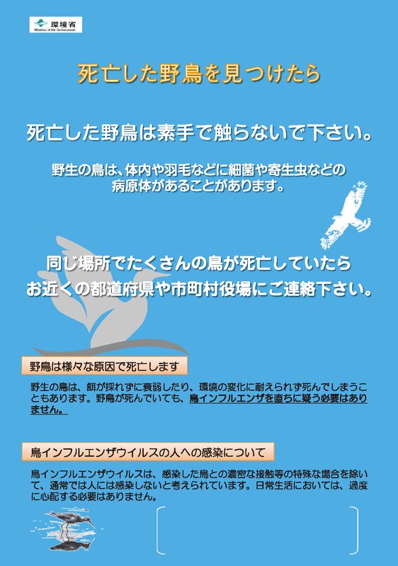 環境省「死亡した野鳥を見つけたら」より