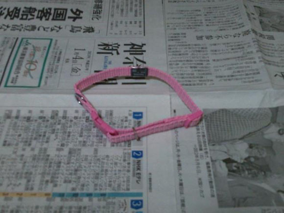挑発メールの中の一枚。神奈川新聞の上に載せてある首輪に記憶媒体が…