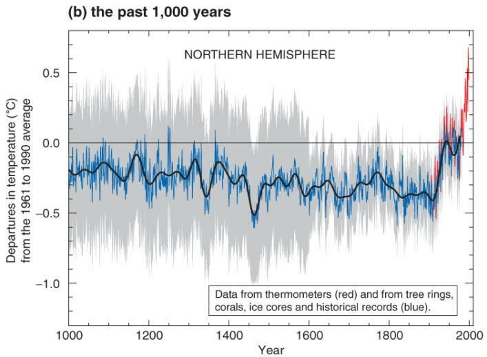 過去1000年の北半球平均気温変化（IPCC第3次評価報告書 政策決定者向け要約 Figure 1b）