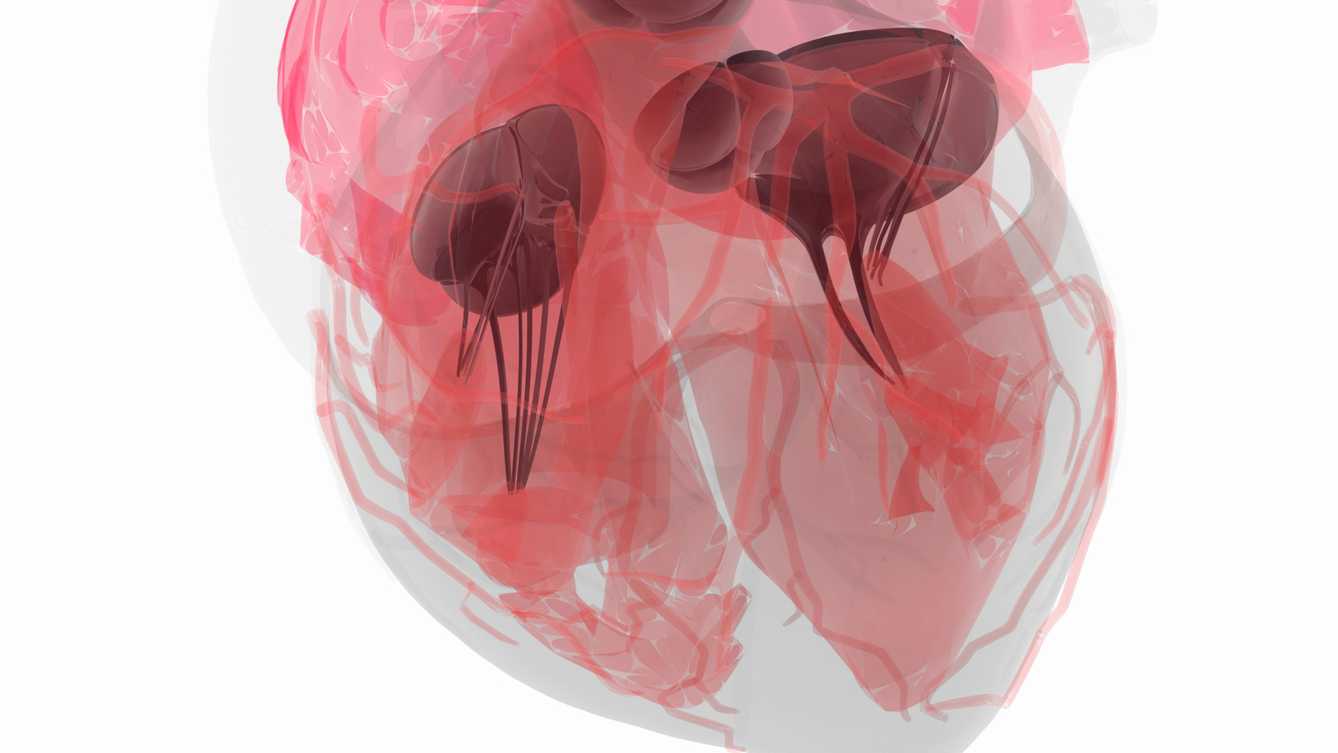 急性心不全とは何か 大杉漣さんの急死報道から考える 加筆訂正あり 榎木英介 個人 Yahoo ニュース