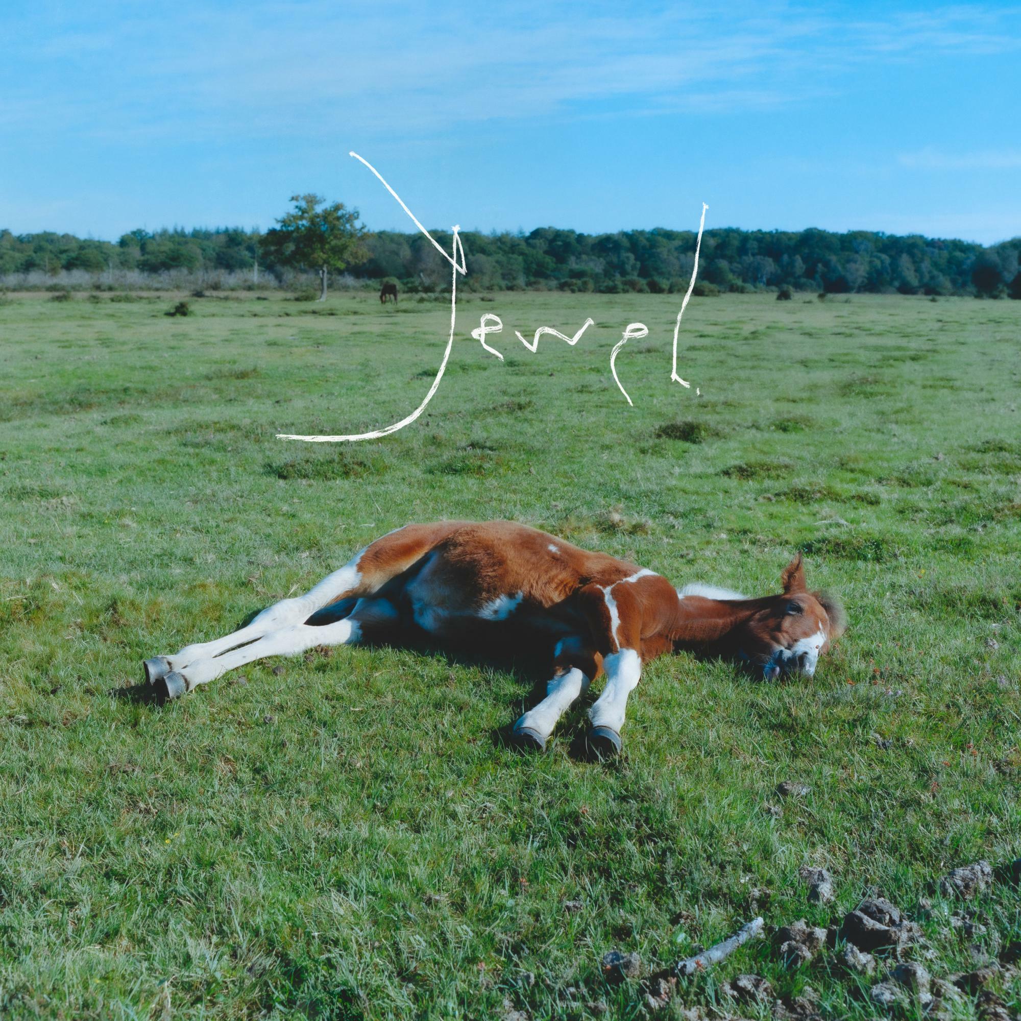 「Jewel」：photo by IRORI Records