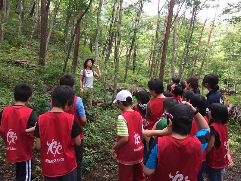 福島県棚倉町での野外水ケーション活動。森の授業の様子。（筆者撮影）