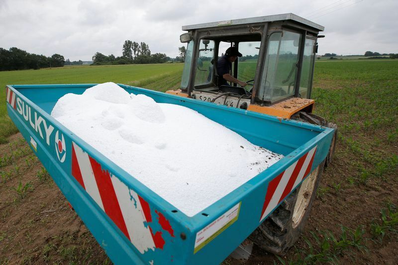 フランスのトウモロコシ畑に使用される尿素肥料：イメージ