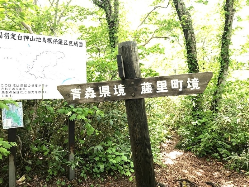 秋田県側につくられた林道は青森県境で突然終わる（著者撮影）