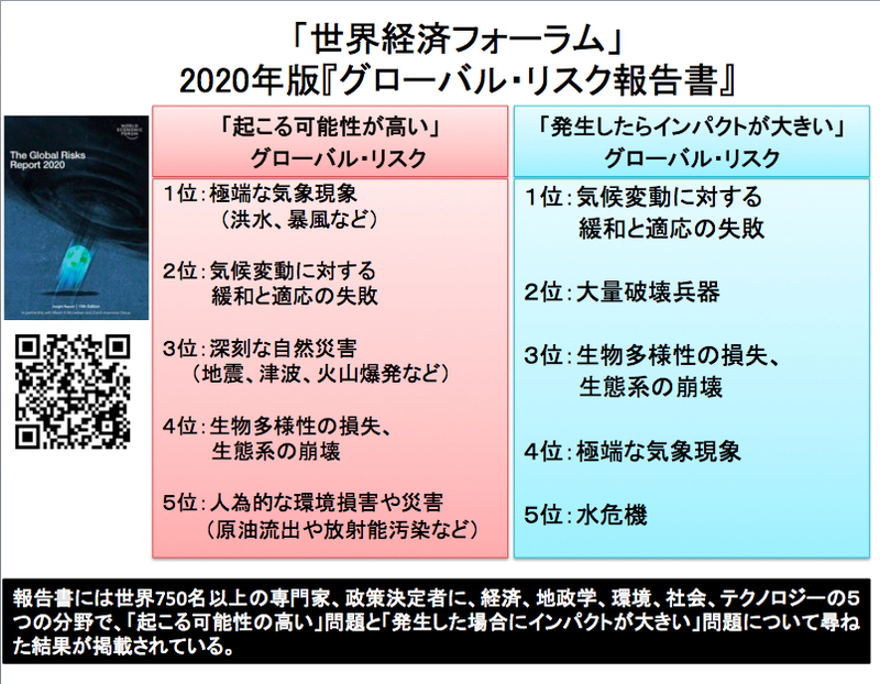 「グローバルリスク報告書」で上位にランクされた項目（図表は著作作成）