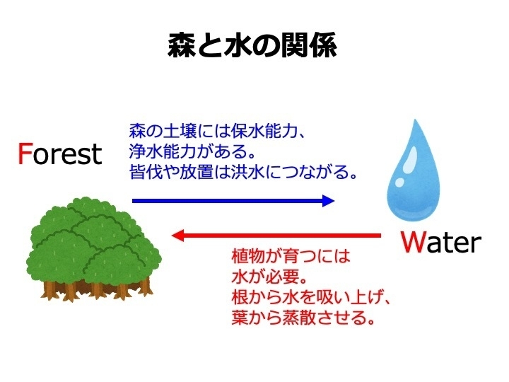 FとWの関係（著者がいらすとやのイラストで構成）