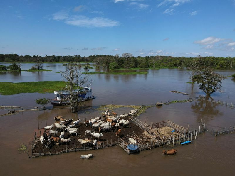ブラジルでの洪水