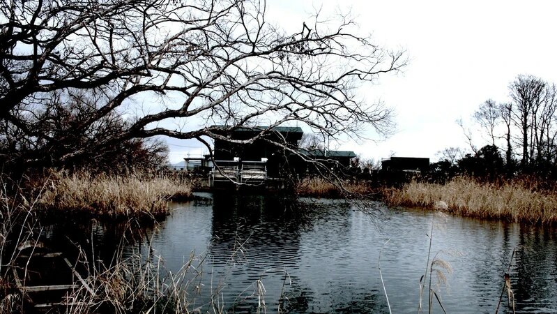 琵琶湖（筆者撮影）