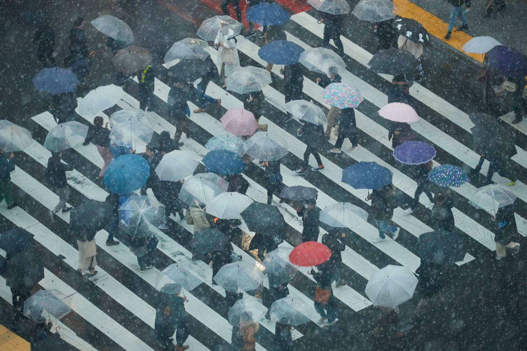 渋谷スクランブル交差点に降る雨