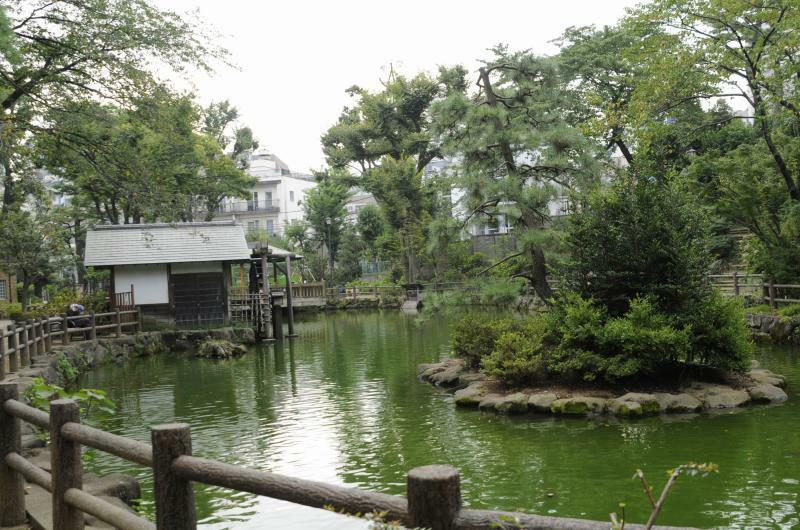 鍋島松濤公園の湧水池。桜の時期には多くの花見客が訪れる