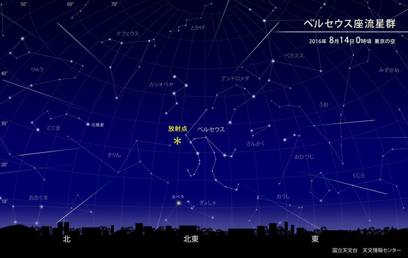 ペルセウス座流星群の見え方　　提供：国立天文台　