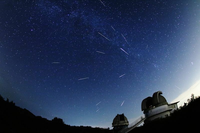 ペルセウス座流星群　2016年8月12日午後10時53分から13日午前3時27分までに出現した明るいペルセウス座流星群の流星を合成した画像です。提供：国立天文台