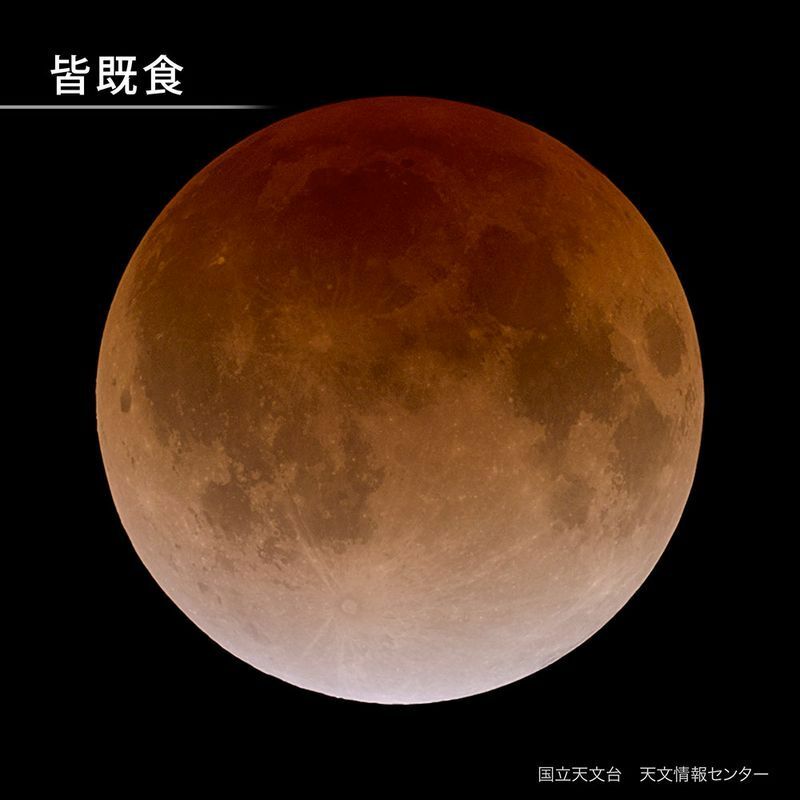 皆既食のようす　月が赤銅色に輝きます。今回は食分0.978、ほぼ皆既になりますのでどのように輝くのか注目されています。　提供：国立天文台