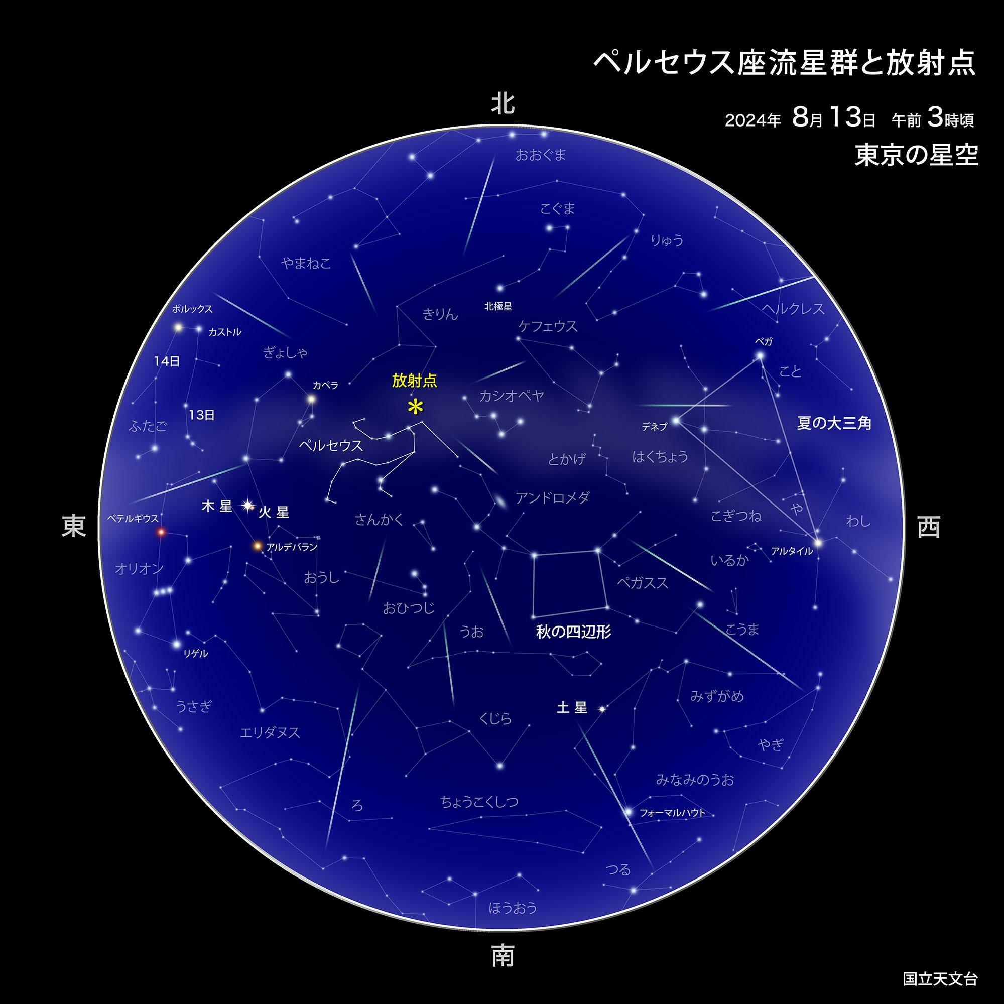 ペルセウス座流星群の見え方　ペルセウス座にある放射点を中心に放射状に群流星が出現する。（提供：国立天文台）