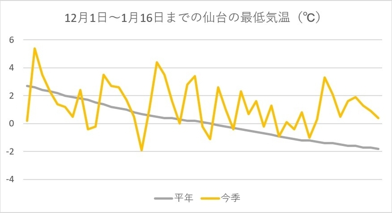 12月1日～1月16日までの仙台の最低気温（筆者作成）