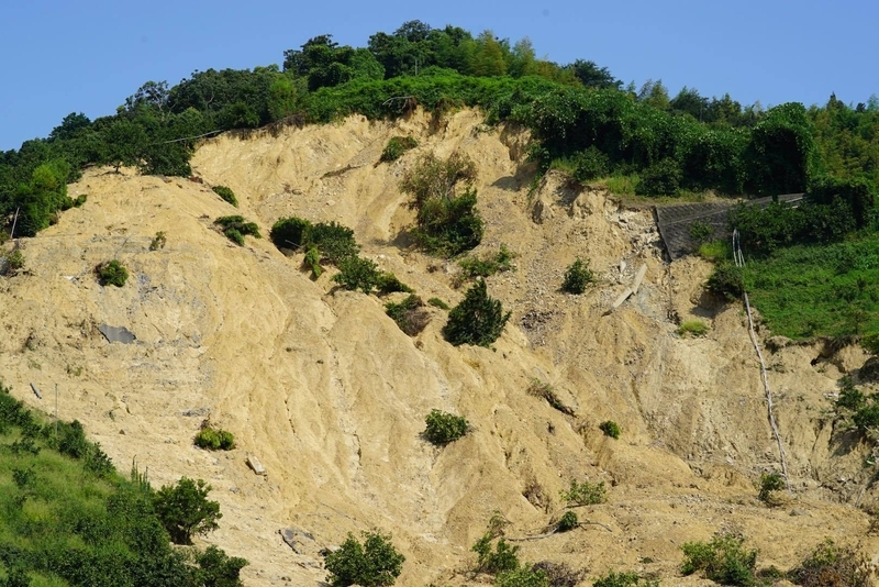 宇和島市吉田町　目の前の山は大半が土砂崩れを起こし、みかん畑を流し去った（今月２５日撮影）