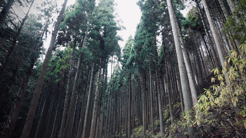 合併しなかった村の今、村民所得は「増」。その理由とは?(堀潤 合併しなかった村の今、村民所得は「増」。その理由とは?(堀潤