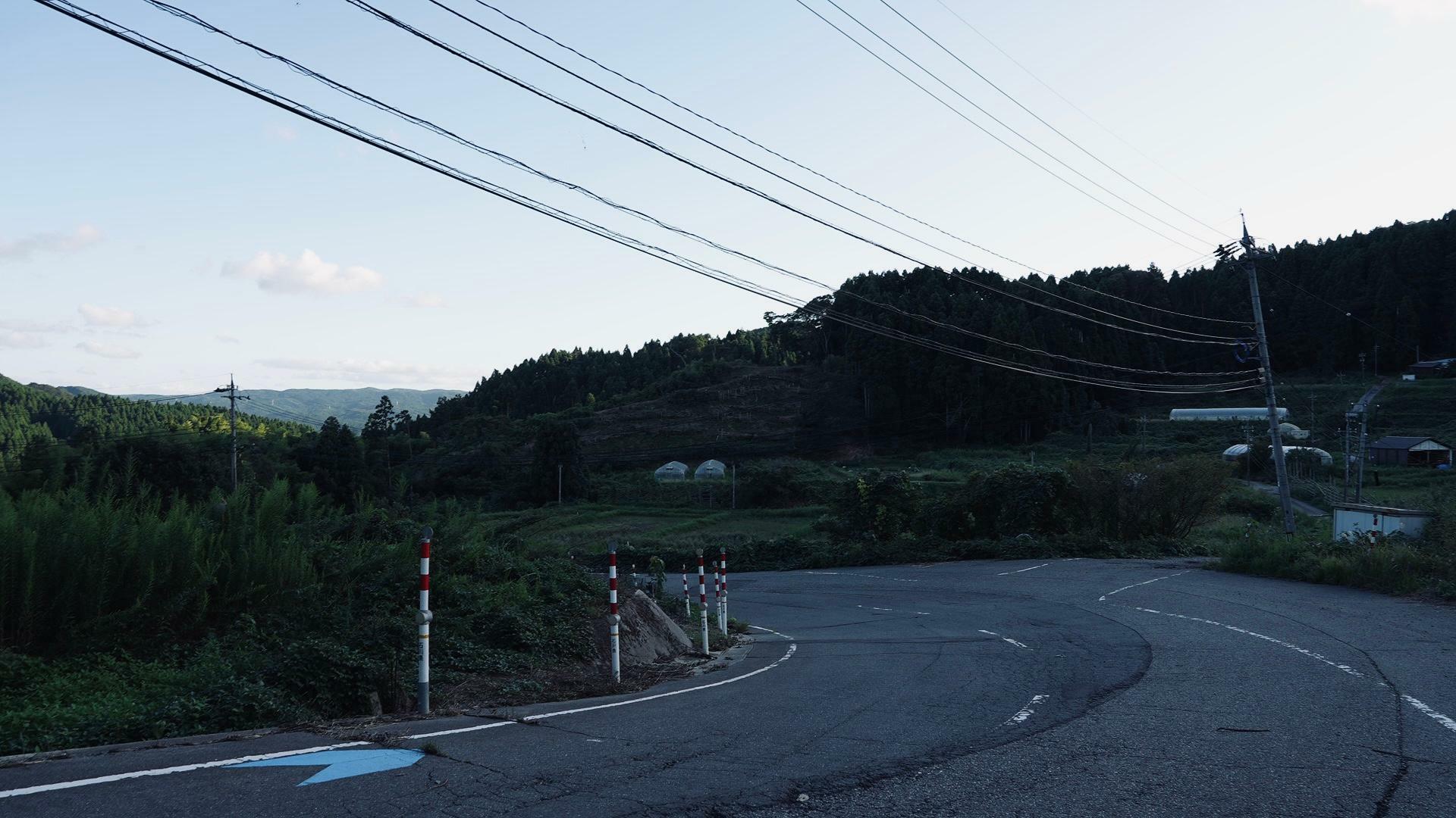 山を登ると少しひらけた場所がある。撮影　堀潤