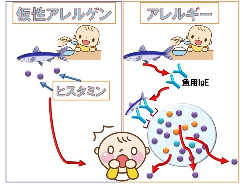 イラストACより筆者作成