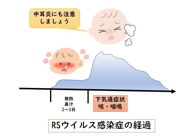 イラストACと文献※6より筆者作成