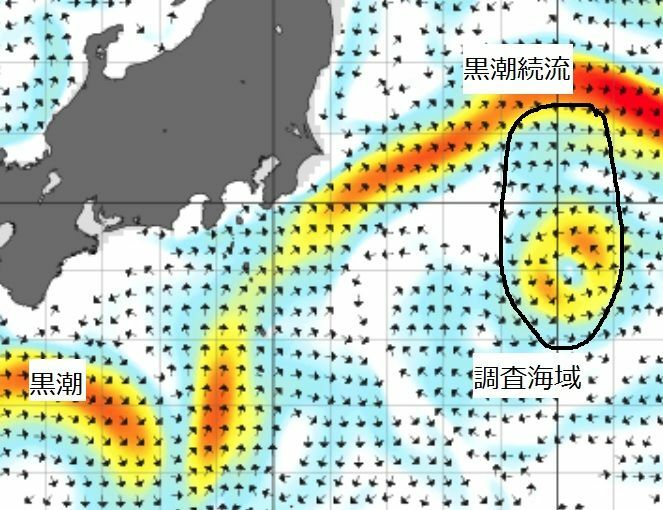 黒潮域の海面の流れ（2019年8月下旬）。赤い部分で流速が速い。気象庁ホームページの図に、筆者が「黒潮」「黒潮続流」「調査海域」の言葉と海域を書き加えた。