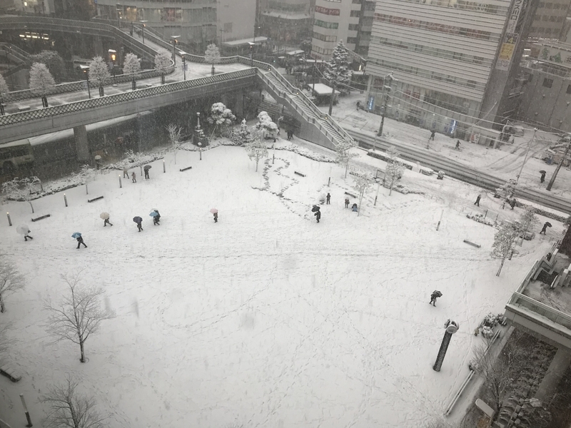 首都圏各地は普段は慣れていない雪に見舞われた（2018年1月22日、筆者撮影）