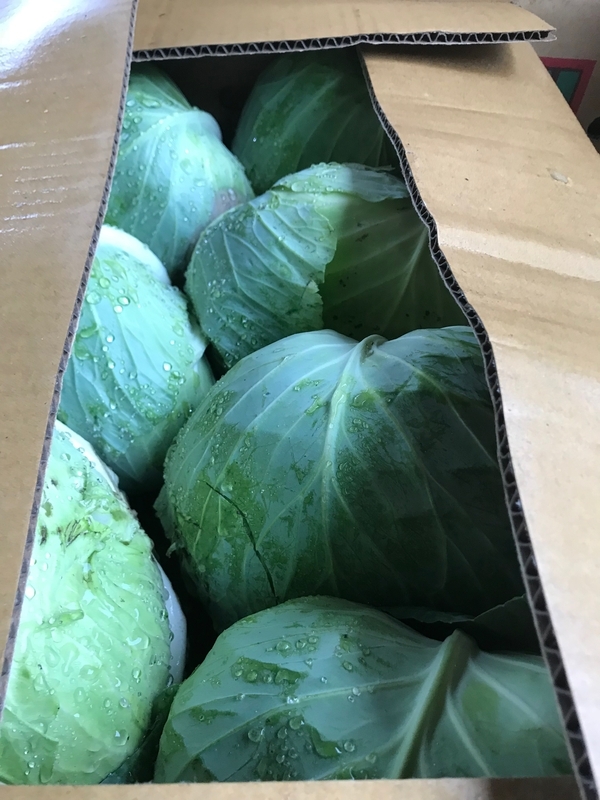 市場で廃棄される新鮮なキャベツ(筆者撮影)