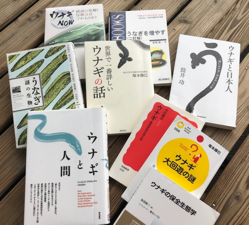 うなぎ関連書籍(筆者撮影)